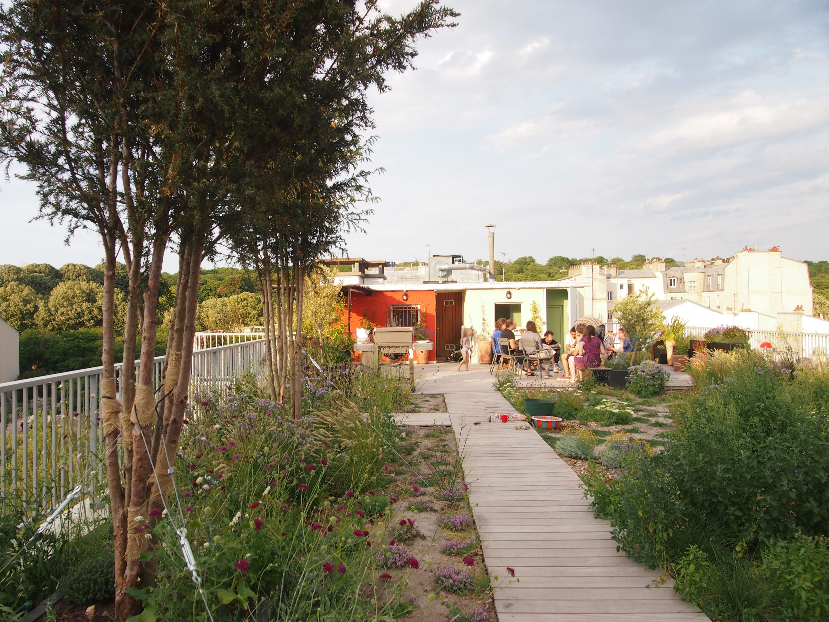 Création de jardins et espaces extérieurs, ici un toit terrasse, à Paris par l'atelier Miroardo