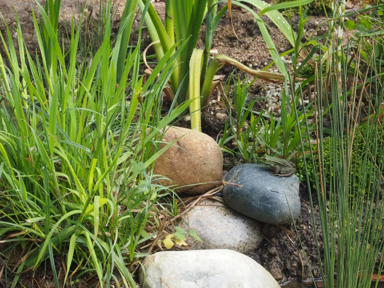Détails du jardin éphémère réalisé dans le cadre du festival international des Jardins à Chaumont sur Loire en Avril 2023. Il s'agit d'une collaboration entre Miroardo et le collectif Brèche.