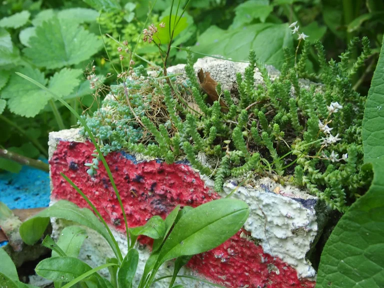 Détail du jardin éphémère réalisé dans le cadre du Festival international des jardins "Hors les murs" au parc de La Villette à Paris.