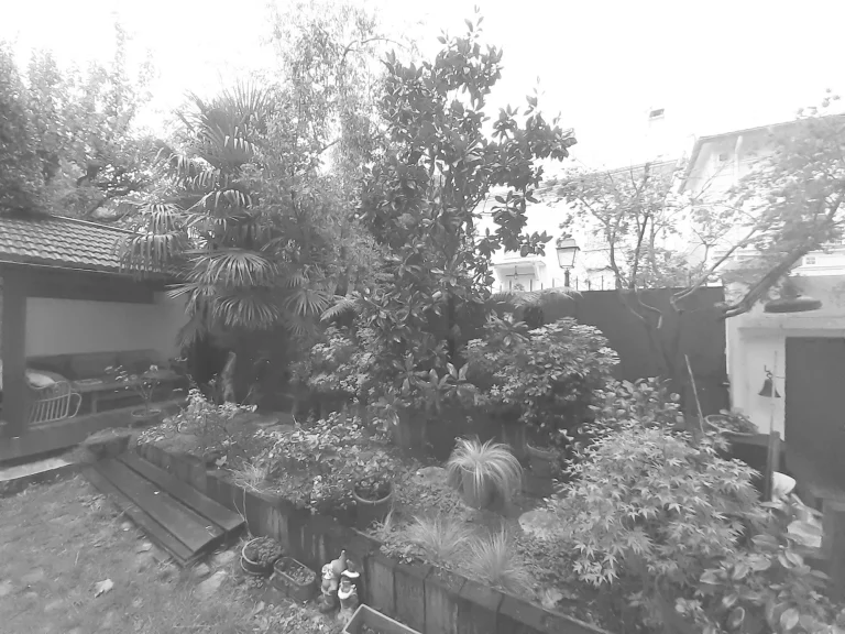 Avant l'aménagement par Miroardo d'un jardin privé situé quartier La Mouzaia dans le 19e arrondissement de Paris.
