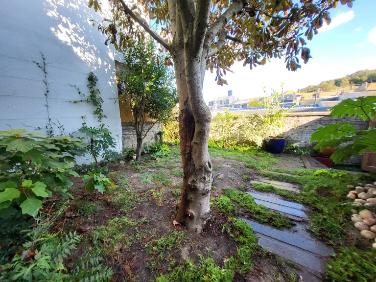 Jardin privé au Tréport à Mers-les-Bains en Seine-Maritime après l'aménagement paysager par l'équipe de Miroardo.