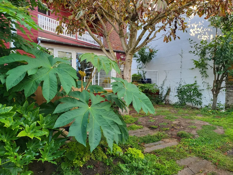 Jardin privé au Tréport à Mers-les-Bains en Seine-Maritime après l'aménagement paysager par l'équipe de Miroardo.