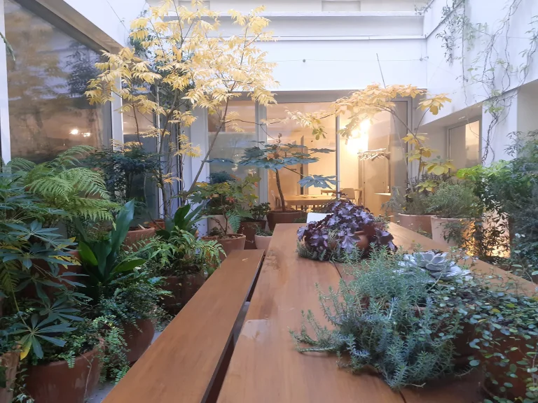 Au fil des saison : le patio de Loewe pensé, réalisé et entretenu par Miroardo en Automne.
