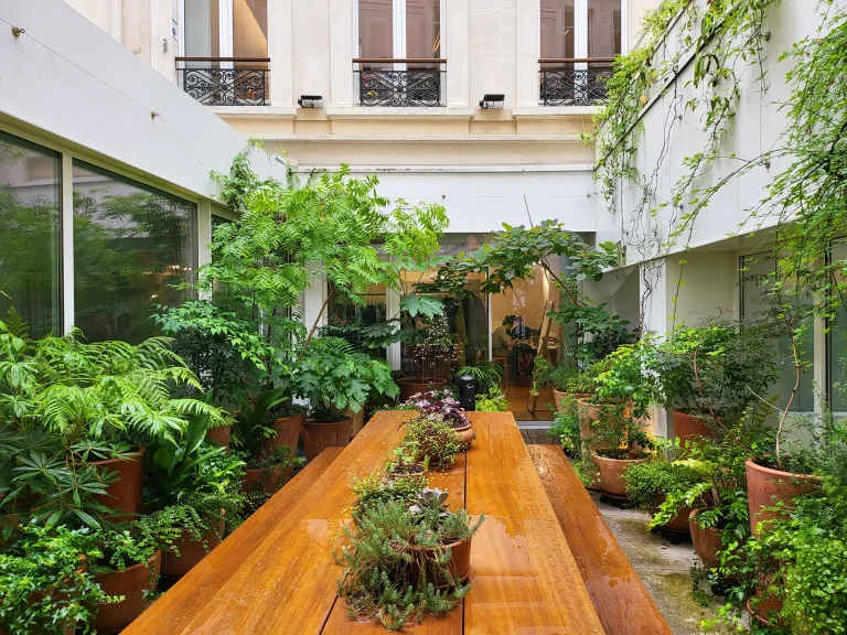 Au fil des saison : le patio de Loewe pensé, réalisé et entretenu par Miroardo en Eté après la pluie.