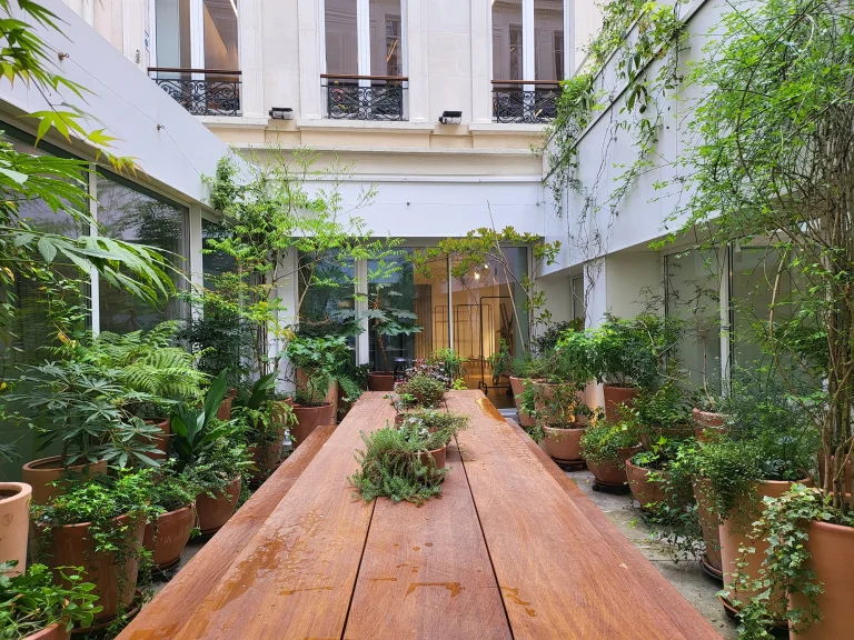 Au fil des saison : le patio de Loewe pensé, réalisé et entretenu par Miroardo au Printemps.