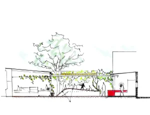 Coupe réalisée par Miroardo du futur projet d'aménagement de la terrasse de la boulangerie Pan Con Madre à Oaxaca au Mexique.
