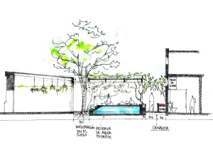 Coupe réalisée par Miroardo du futur projet d'aménagement de la terrasse de la boulangerie Pan Con Madre à Oaxaca au Mexique.