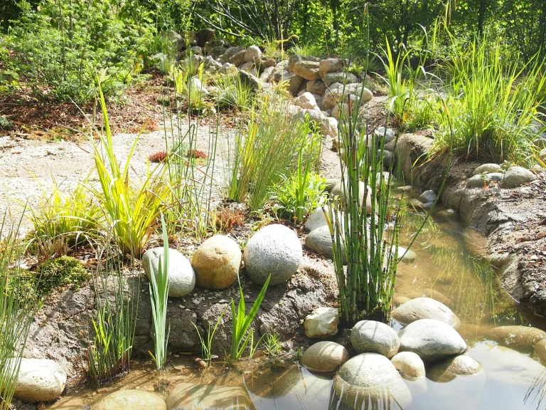 Vue détaillée de la rivière réalisée dans le cadre du festival international des Jardins à Chaumont sur Loire en Avril 2023. Ce jardin éphémère est le fruit d'une collaboration entre Miroardo et le collectif Brèche.