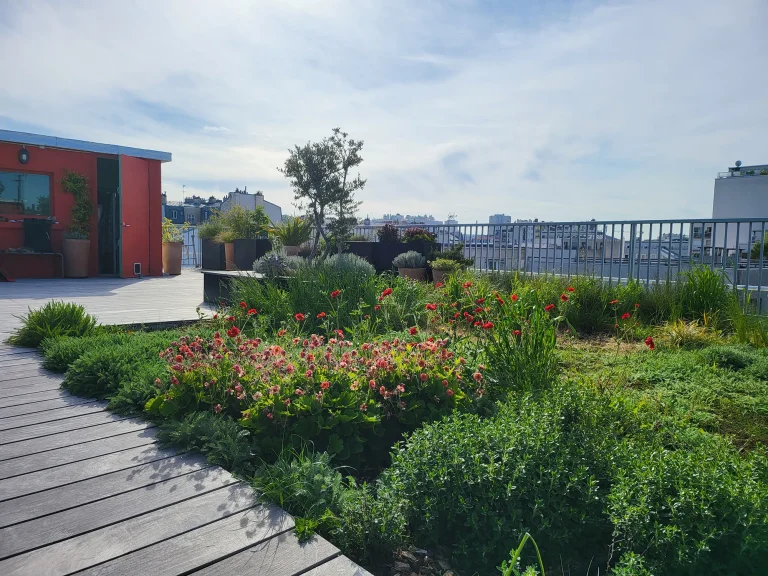 Vue toit-terrasse en fleur réalisé par Miroardo dans le 11e arrondissement de Paris