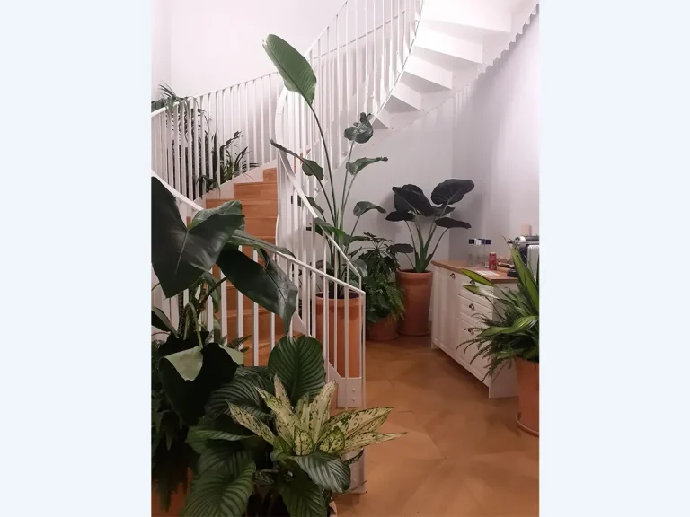 1-loewe-patio-interieur-paris