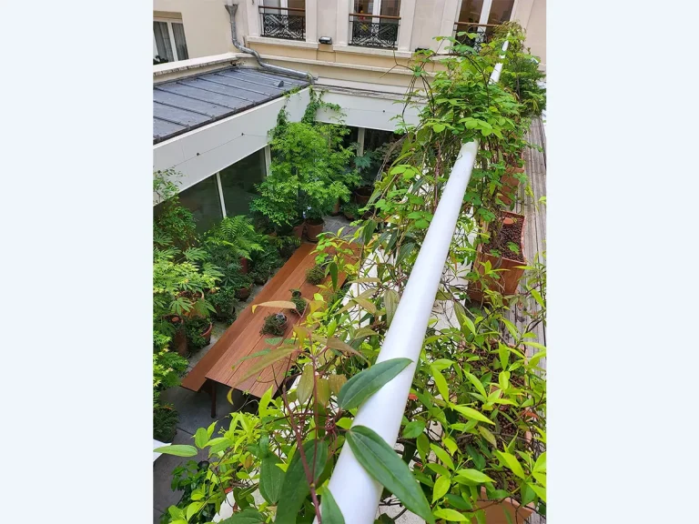 6-loewe-patio-vuedessus-paris