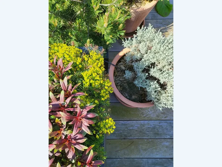 6-toit-terrasse-detail-pots-paris