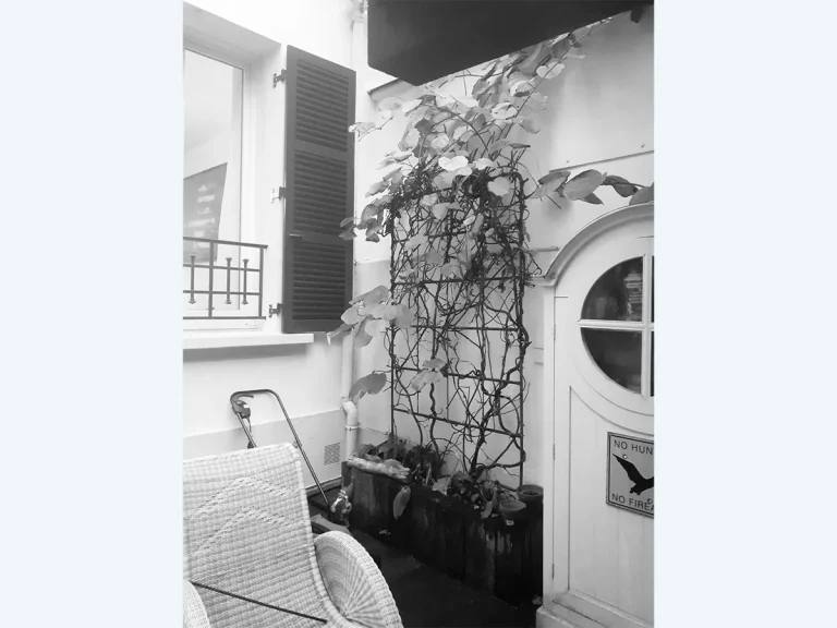 jardin-prive-mouzaia-paris20e-avant4