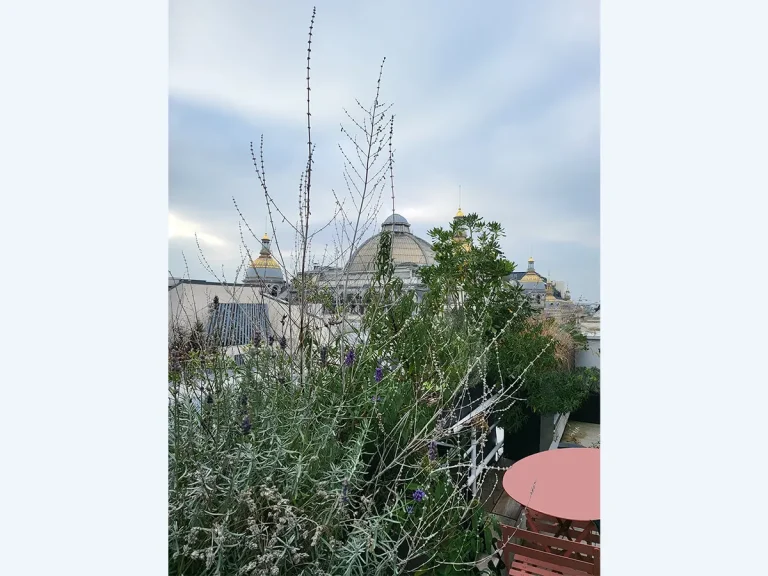 terrasse-rue-provence-paris-apres2