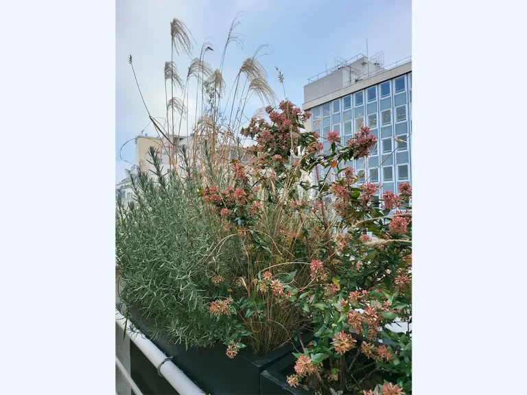 terrasse-rue-provence-paris-apres3